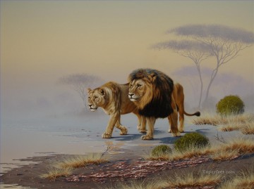 lion 23 Oil Paintings